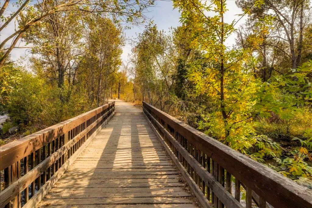 Trail Bridge